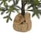 4ft. Pre-Lit Fraser Fir Artificial Christmas Tree, Clear LED Lights